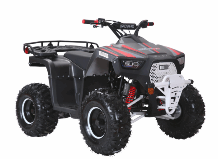 Coolster Lander XD 125 Youth ATV