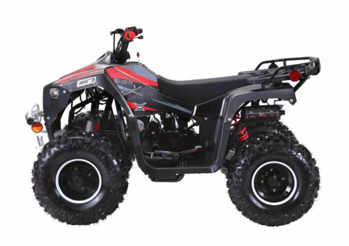 Coolster Lander XD 125 Youth ATV - Image 5