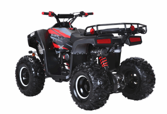 Coolster Lander XD 125 Youth ATV - Image 6